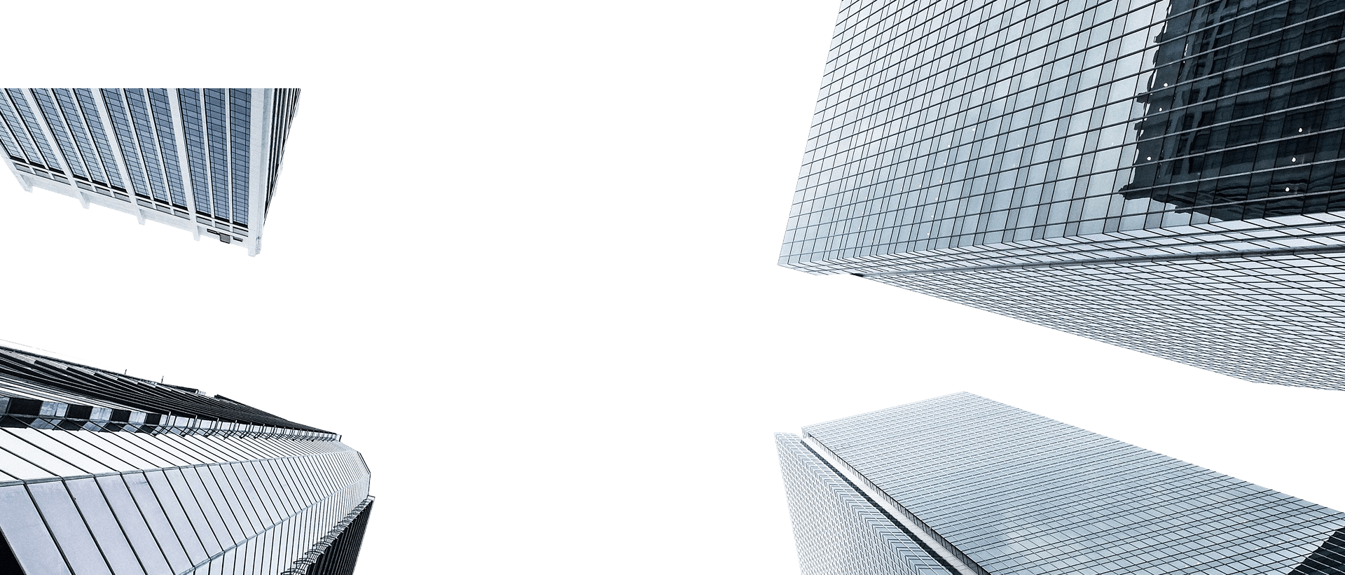 Русь Бизнес Консалт